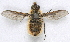  ( - BIOUG06723-H06)  @12 [ ] CreativeCommons - Attribution (2012) CBG Photography Group Centre for Biodiversity Genomics