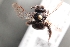  ( - UCSD.JLM.614)  @11 [ ] by-nc (2025) Jessica Mullins Unspecified