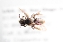  ( - UCSD.JLM.9783)  @11 [ ] by-nc (2025) Jessica Mullins Unspecified
