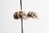  ( - UCSD.JLM.7548)  @11 [ ] by-nc (2025) Jessica Mullins Unspecified