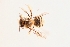  ( - UCSD.JLM.10314)  @11 [ ] by-nc (2025) Jessica Mullins Unspecified