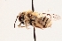  ( - UCSD.JLM.10314)  @11 [ ] by-nc (2025) Jessica Mullins Unspecified