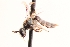  ( - UCSD.JLM.8565)  @11 [ ] by-nc (2025) Jessica Mullins Unspecified