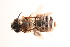  ( - UCSD.JLM.1184)  @11 [ ] by-nc (2025) Jessica Mullins Unspecified