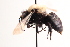  ( - UCSD.KJH.11654)  @11 [ ] by-nc (2025) Jessica Mullins Unspecified