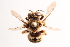  ( - UCSD.KJH.33158)  @11 [ ] by-nc (2025) Jessica Mullins Unspecified