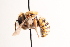  ( - UCSD.KJH.33158)  @11 [ ] by-nc (2025) Jessica Mullins Unspecified
