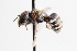  ( - UCSD.KJH.11710)  @11 [ ] by-nc (2025) Jessica Mullins Unspecified