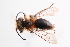  ( - UCSD.JLM.10220)  @11 [ ] by-nc (2025) Jessica Mullins Unspecified