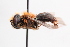  ( - UCSD.JLM.10220)  @11 [ ] by-nc (2025) Jessica Mullins Unspecified