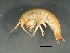  ( - 10PROBE-24558)  @13 [ ] CreativeCommons - Attribution (2010) CBG Photography Group Centre for Biodiversity Genomics