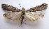  ( - BIOUG00847-B11)  @13 [ ] CreativeCommons - Attribution Non-Commercial No Derivatives (2011) Unspecified Unspecified