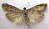  ( - BIOUG00847-B11)  @13 [ ] CreativeCommons - Attribution Non-Commercial No Derivatives (2011) Unspecified Unspecified
