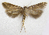  ( - BIOUG00847-D05)  @13 [ ] CreativeCommons - Attribution Non-Commercial No Derivatives (2011) Unspecified Unspecified
