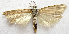  ( - BIOUG00847-H10)  @13 [ ] CreativeCommons - Attribution Non-Commercial No Derivatives (2011) Unspecified Unspecified
