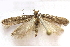  ( - BIOUG00848-A05)  @12 [ ] CreativeCommons - Attribution Non-Commercial No Derivatives (2011) Unspecified Unspecified