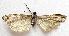  ( - BIOUG00848-A07)  @13 [ ] CreativeCommons - Attribution Non-Commercial No Derivatives (2011) Unspecified Unspecified