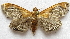  ( - BIOUG00848-B07)  @11 [ ] CreativeCommons - Attribution Non-Commercial No Derivatives (2011) Unspecified Unspecified