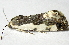  ( - BIOUG00848-C02)  @13 [ ] CreativeCommons - Attribution Non-Commercial No Derivatives (2011) Unspecified Unspecified