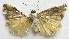 ( - BIOUG00848-C02)  @13 [ ] CreativeCommons - Attribution Non-Commercial No Derivatives (2011) Unspecified Unspecified