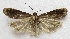  ( - BIOUG00848-C04)  @13 [ ] CreativeCommons - Attribution Non-Commercial No Derivatives (2011) Unspecified Unspecified