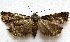  ( - BIOUG00848-C08)  @12 [ ] CreativeCommons - Attribution Non-Commercial No Derivatives (2011) Unspecified Unspecified
