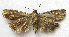  ( - BIOUG00848-C08)  @13 [ ] CreativeCommons - Attribution Non-Commercial No Derivatives (2011) Unspecified Unspecified
