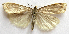  ( - BIOUG00848-C10)  @13 [ ] CreativeCommons - Attribution Non-Commercial No Derivatives (2011) Unspecified Unspecified