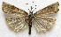  ( - BIOUG00848-D02)  @13 [ ] CreativeCommons - Attribution Non-Commercial No Derivatives (2011) Unspecified Unspecified