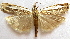  ( - BIOUG00848-D06)  @14 [ ] CreativeCommons - Attribution Non-Commercial No Derivatives (2011) Unspecified Unspecified