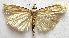  ( - BIOUG00848-D06)  @13 [ ] CreativeCommons - Attribution Non-Commercial No Derivatives (2011) Unspecified Unspecified