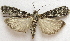  ( - BIOUG00848-D07)  @13 [ ] CreativeCommons - Attribution Non-Commercial No Derivatives (2011) Unspecified Unspecified