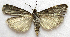  ( - BIOUG00848-D07)  @13 [ ] CreativeCommons - Attribution Non-Commercial No Derivatives (2011) Unspecified Unspecified