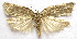  ( - BIOUG00848-E06)  @12 [ ] CreativeCommons - Attribution Non-Commercial No Derivatives (2011) Unspecified Unspecified