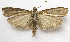  ( - BIOUG00848-E08)  @12 [ ] CreativeCommons - Attribution Non-Commercial No Derivatives (2011) Unspecified Unspecified