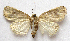  ( - BIOUG00848-E09)  @13 [ ] CreativeCommons - Attribution Non-Commercial No Derivatives (2011) Unspecified Unspecified