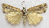  ( - BIOUG00848-F02)  @13 [ ] CreativeCommons - Attribution Non-Commercial No Derivatives (2011) Unspecified Unspecified