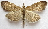  ( - BIOUG00848-F09)  @13 [ ] CreativeCommons - Attribution Non-Commercial No Derivatives (2011) Unspecified Unspecified