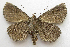  ( - BIOUG00848-G10)  @13 [ ] CreativeCommons - Attribution Non-Commercial No Derivatives (2011) Unspecified Unspecified