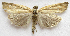  ( - BIOUG00848-H11)  @13 [ ] CreativeCommons - Attribution Non-Commercial No Derivatives (2011) Unspecified Unspecified