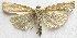  ( - BIOUG00848-H11)  @13 [ ] CreativeCommons - Attribution Non-Commercial No Derivatives (2011) Unspecified Unspecified