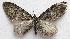  ( - BIOUG00849-A07)  @13 [ ] CreativeCommons - Attribution Non-Commercial No Derivatives (2011) Unspecified Unspecified
