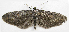  ( - BIOUG00849-A07)  @13 [ ] CreativeCommons - Attribution Non-Commercial No Derivatives (2011) Unspecified Unspecified