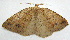  ( - BIOUG00849-B09)  @13 [ ] CreativeCommons - Attribution Non-Commercial No Derivatives (2011) Unspecified Unspecified