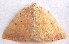  ( - BIOUG00849-B12)  @12 [ ] CreativeCommons - Attribution Non-Commercial No Derivatives (2011) Unspecified Unspecified