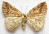  ( - BIOUG00849-C07)  @14 [ ] CreativeCommons - Attribution Non-Commercial No Derivatives (2011) Unspecified Unspecified