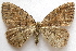  ( - BIOUG00849-E11)  @13 [ ] CreativeCommons - Attribution Non-Commercial No Derivatives (2011) Unspecified Unspecified
