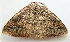  ( - BIOUG00849-G09)  @13 [ ] CreativeCommons - Attribution Non-Commercial No Derivatives (2011) Unspecified Unspecified