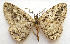  (Neoalcis - BIOUG00849-H05)  @15 [ ] CreativeCommons - Attribution Non-Commercial No Derivatives (2011) Unspecified Unspecified