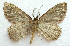  ( - BIOUG00850-B11)  @12 [ ] CreativeCommons - Attribution Non-Commercial No Derivatives (2011) Unspecified Unspecified